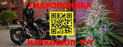 ПСИЛОЦИБИНОВЫЕ ГРИБЫ Кунгур